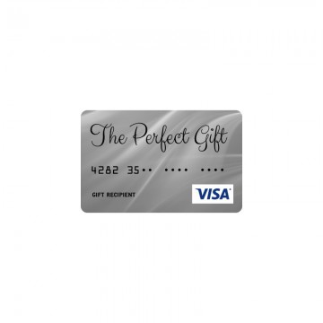 Stainless Steel Gift Card, Visa Card with Different Card No.